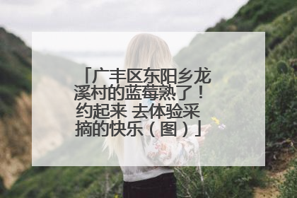 广丰区东阳乡龙溪村的蓝莓熟了！约起来 去体验采摘的快乐（图）