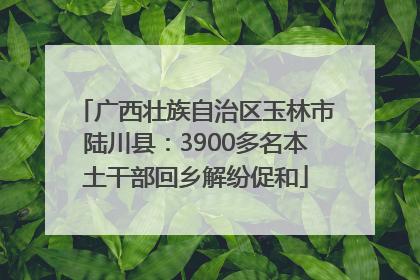 广西壮族自治区玉林市陆川县：3900多名本土干部回乡解纷促和