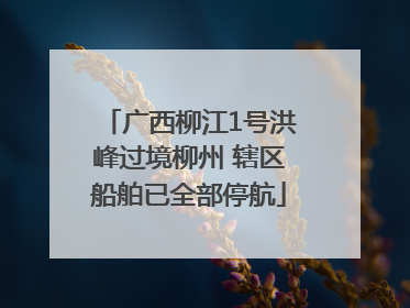 广西柳江1号洪峰过境柳州 辖区船舶已全部停航