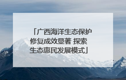 广西海洋生态保护修复成效显著 探索生态惠民发展模式