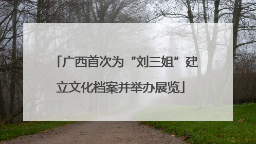广西首次为“刘三姐”建立文化档案并举办展览