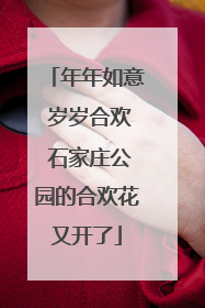 年年如意 岁岁合欢 石家庄公园的合欢花又开了