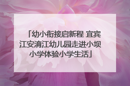 幼小衔接启新程 宜宾江安淯江幼儿园走进小坝小学体验小学生活