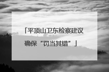平顶山卫东检察建议确保“罚当其错”