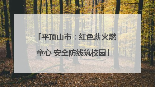 平顶山市：红色薪火燃童心 安全防线筑校园