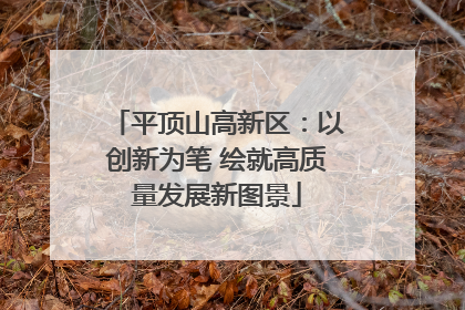 平顶山高新区：以创新为笔 绘就高质量发展新图景