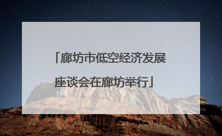 廊坊市低空经济发展座谈会在廊坊举行