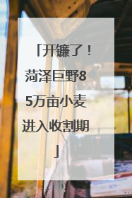 开镰了！菏泽巨野85万亩小麦进入收割期