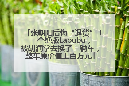 张朝阳后悔“退货”！一个绝版Labubu，被胡润拿去换了一辆车，整车原价值上百万元