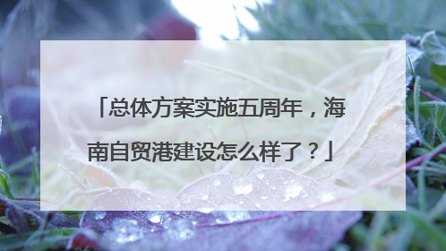总体方案实施五周年，海南自贸港建设怎么样了？
