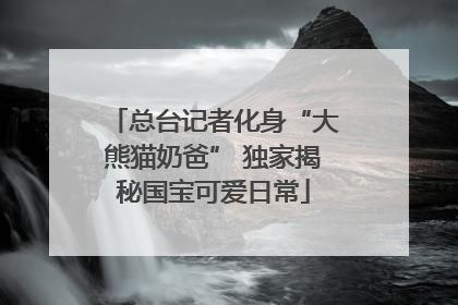 总台记者化身“大熊猫奶爸” 独家揭秘国宝可爱日常