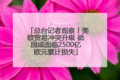 总台记者观察丨美欧贸易冲突升级 德国或面临2500亿欧元累计损失