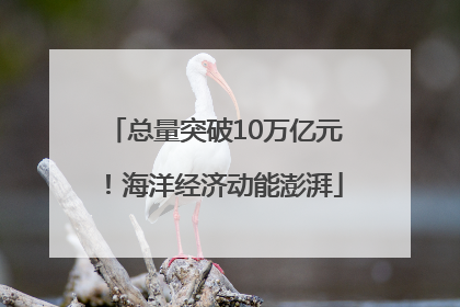 总量突破10万亿元！海洋经济动能澎湃