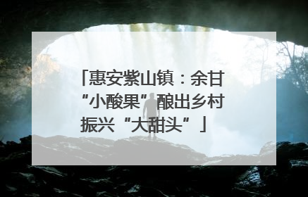 惠安紫山镇：余甘“小酸果”酿出乡村振兴“大甜头”