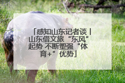 感知山东记者谈丨山东借文旅“东风”起势 不断塑强“体育+”优势