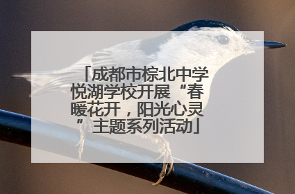 成都市棕北中学悦湖学校开展“春暖花开，阳光心灵”主题系列活动
