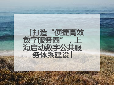 打造“便捷高效数字服务圈”，上海启动数字公共服务体系建设