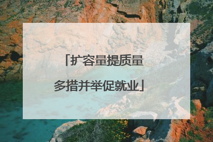 扩容量提质量 多措并举促就业