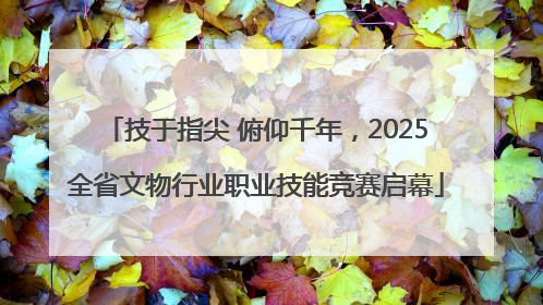 技于指尖 俯仰千年，2025全省文物行业职业技能竞赛启幕