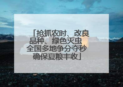 抢抓农时、改良品种、绿色灭虫 全国多地争分夺秒确保夏粮丰收