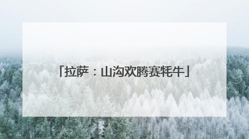 拉萨：山沟欢腾赛牦牛