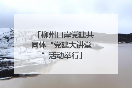 柳州口岸党建共同体“党建大讲堂”活动举行