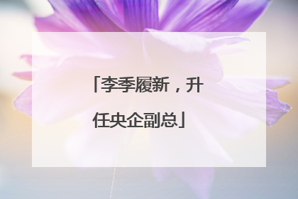 李季履新，升任央企副总