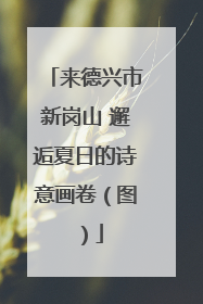 来德兴市新岗山 邂逅夏日的诗意画卷（图）