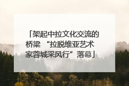 架起中拉文化交流的桥梁 “拉脱维亚艺术家蓉城采风行”落幕