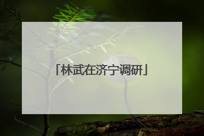 林武在济宁调研