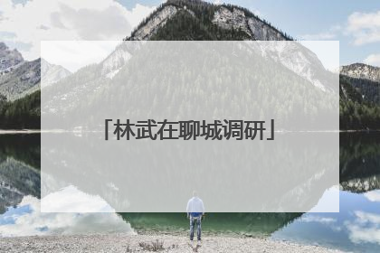 林武在聊城调研