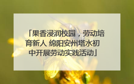 果香浸润校园，劳动培育新人 绵阳安州塔水初中开展劳动实践活动