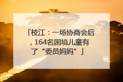 枝江：一场协商会后，164名困境儿童有了“委员妈妈”