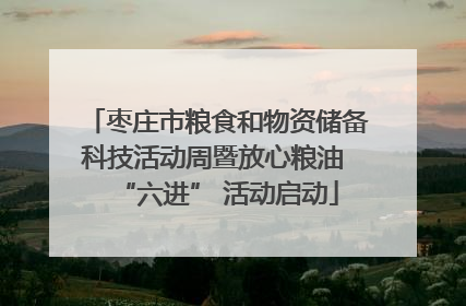 枣庄市粮食和物资储备科技活动周暨放心粮油 “六进” 活动启动