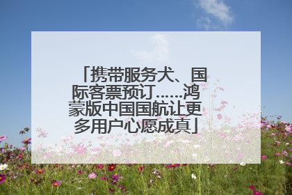 携带服务犬、国际客票预订……鸿蒙版中国国航让更多用户心愿成真