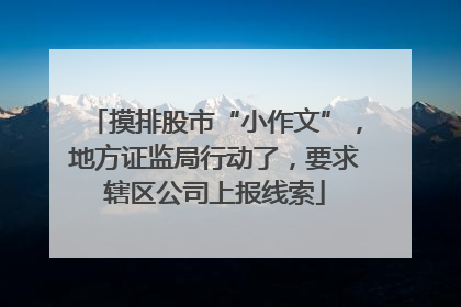 摸排股市“小作文”，地方证监局行动了，要求辖区公司上报线索