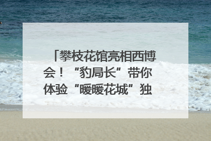 攀枝花馆亮相西博会！“豹局长”带你体验“暖暖花城”独特魅力｜西博视界