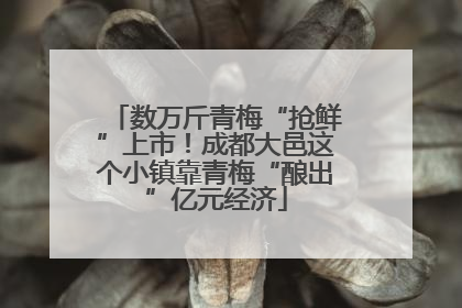 数万斤青梅“抢鲜”上市！成都大邑这个小镇靠青梅“酿出”亿元经济