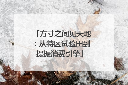 方寸之间见天地：从特区试验田到提振消费引擎