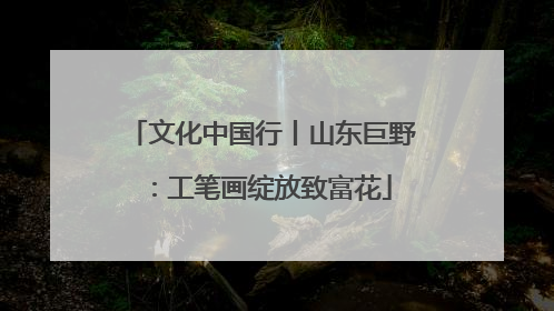文化中国行丨山东巨野：工笔画绽放致富花