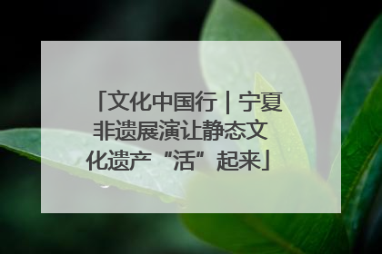文化中国行｜宁夏 非遗展演让静态文化遗产“活”起来