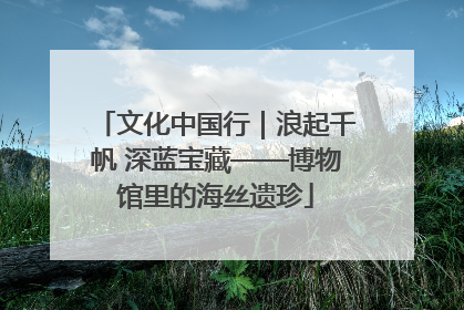 文化中国行｜浪起千帆 深蓝宝藏——博物馆里的海丝遗珍