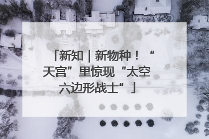 新知｜新物种！“天宫”里惊现“太空六边形战士”