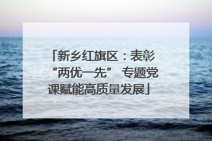 新乡红旗区：表彰 “两优一先” 专题党课赋能高质量发展