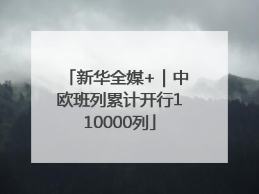 新华全媒+｜中欧班列累计开行110000列