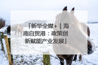 新华全媒+｜海南自贸港：政策创新赋能产业发展