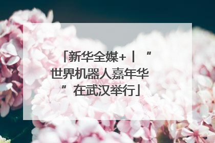 新华全媒+丨“世界机器人嘉年华”在武汉举行