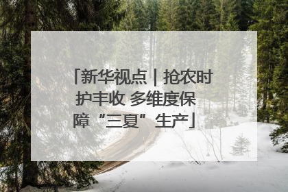 新华视点｜抢农时 护丰收 多维度保障“三夏”生产