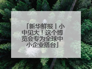 新华鲜报丨小中见大！这个博览会专为全球中小企业搭台