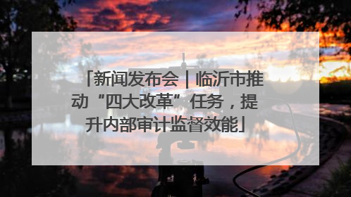 新闻发布会｜临沂市推动“四大改革”任务，提升内部审计监督效能